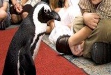 The Florida Aquarium